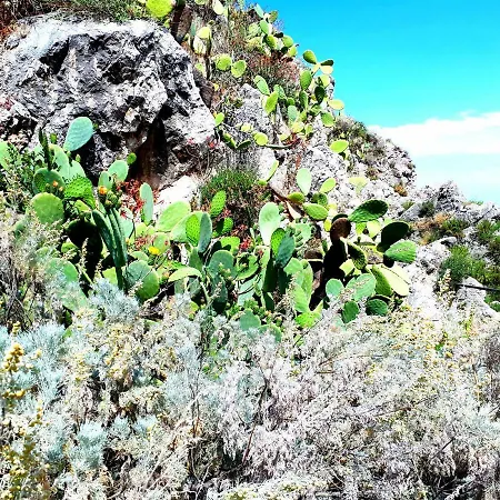 アパート Alpha22 ジャルディーニ・ナクソス